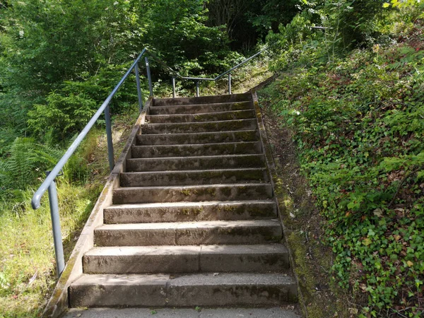 Ağaçlarla Çevrili Merdiven Yolunun Yakın Çekimi — Stok fotoğraf
