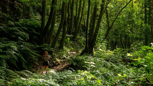 Kaukaska Kobieta Wędrująca Lesie Deszczowym Palma Wyspach Kanaryjskich — Zdjęcie stockowe