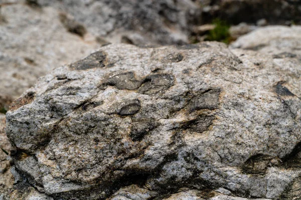 Ένα Κοντινό Πλάνο Βράχων Από Βράχια — Φωτογραφία Αρχείου