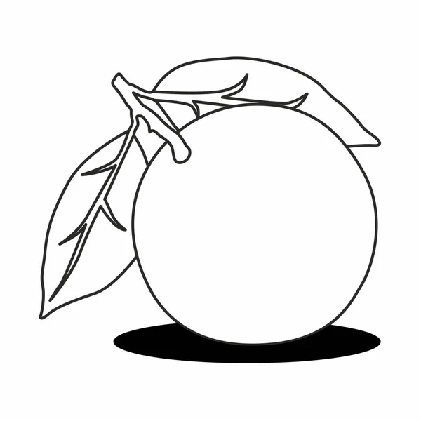 Uma Ilustração Contorno Uma Fruta Laranja Isolada Sobre Fundo Branco — Fotografia de Stock