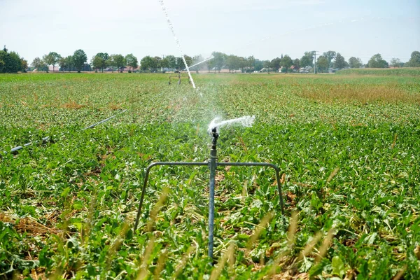 A closeup of irrigation equipment spraying water on a farm field