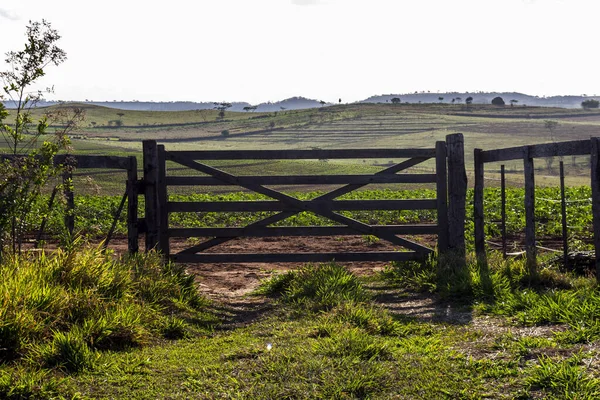 Beau Cliché Porte Bois Entrée Une Ferme Manioc Dans Zone — Photo