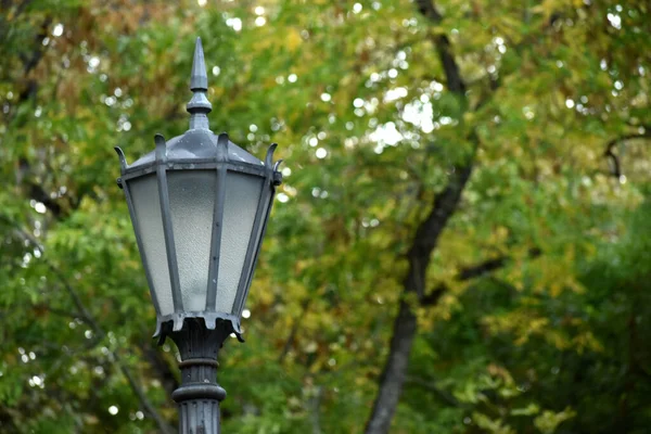 Tiro Close Uma Lâmpada Rua Parque Isolado Nas Árvores Verdes — Fotografia de Stock