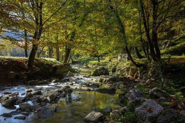 Красивый Пейзаж Гологорицком Доле Истрия Хорватия — стоковое фото