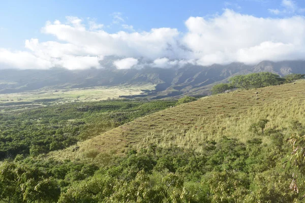 Paysage Tropical Verdoyant Vallonné Sur Flanc Montagne Sur Île Maui — Photo