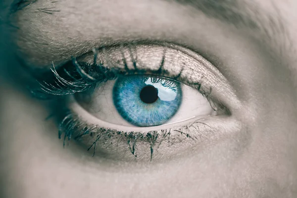 Een Kleur Pop Shot Van Een Vrouw Prachtig Blauw Groen — Stockfoto