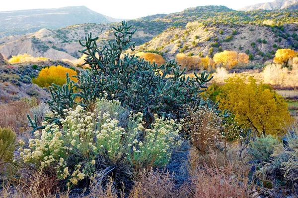 Hermoso Paisaje Otoñal Con Coloridos Árboles Montañas —  Fotos de Stock