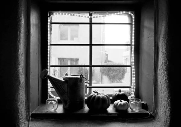 Gri Ölçekli Bir Balkabağı Resmi Pencere Kenarında Bir Sulama Kutusu — Stok fotoğraf
