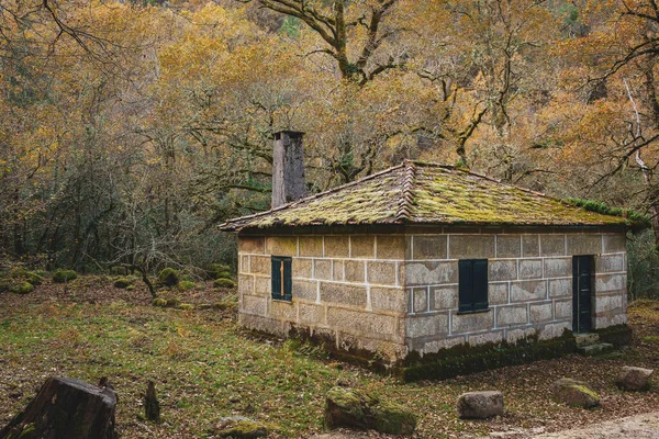 Ein Schönes Haus Mit Bemoostem Dach Mitten Wald — Stockfoto