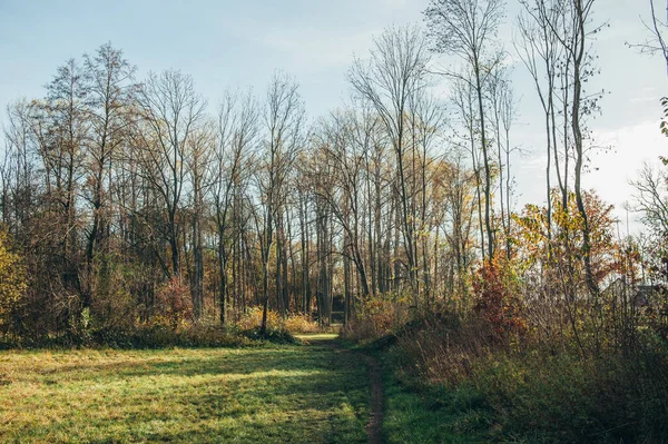 Piękne Ujęcie Krajobrazów Sezonie Jesiennym — Zdjęcie stockowe