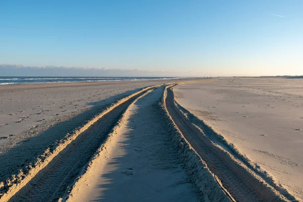 Een Zonnige Kust Met Wielspoor Zand Norderney — Stockfoto