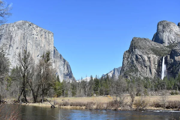 Paysage Pittoresque Feuillage Yosemite Valley Californie — Photo