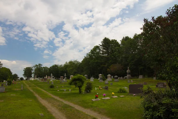 Cimetière Avec Des Arbres Fleurs Contre Ciel Nuageux — Photo