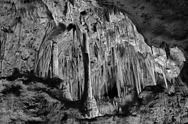 Una Toma Escala Grises Las Cavernas Carlsbad Nuevo México — Foto de Stock