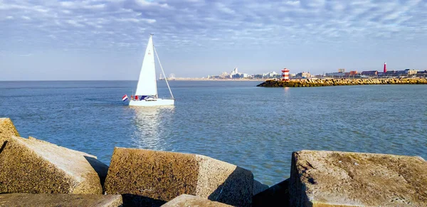 Velero Que Entra Puerto Scheveningen Día Soleado Finales Noviembre —  Fotos de Stock