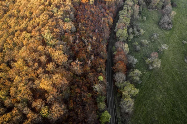 Une Belle Vue Aérienne Autoroute Qui Milieu Forêt Jour Automne — Photo