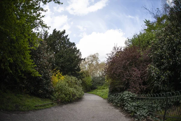 Een Mooie Opname Van Een Dunne Weg Midden Tuin Met — Stockfoto