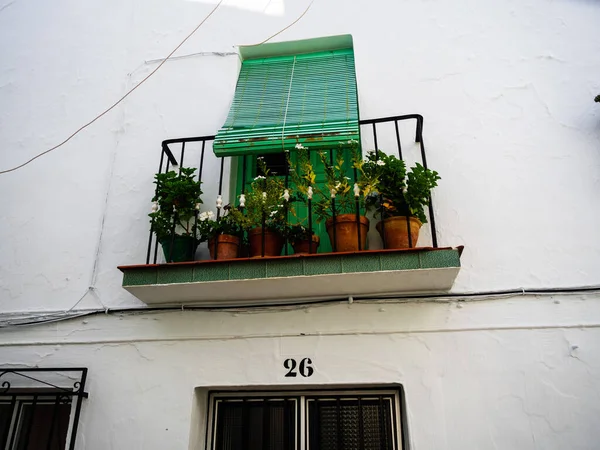 Tiro Horizontal Uma Varanda Casa Com Vasos Planos Perto Janela — Fotografia de Stock