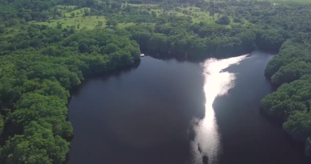 Вид Річку Влітку — стокове відео