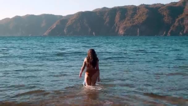 Uma Visão Traseira Uma Fêmea Terno Natação Que Anda Mar — Vídeo de Stock