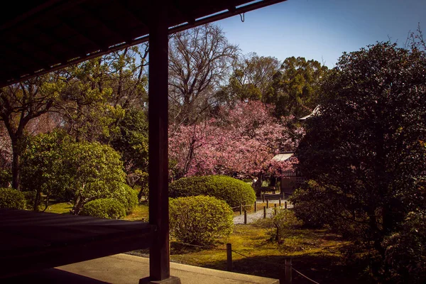 Beautiful Garden Gazebo Shosei Garden Kyoto Japan — Stock Photo, Image