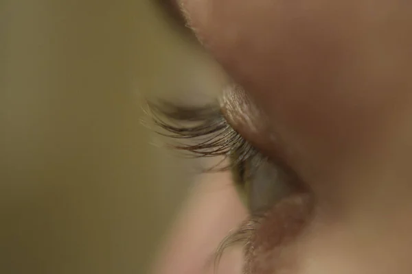 Eine Selektive Aufnahme Eines Auges Mit Schönen Langen Wimpern Auf — Stockfoto