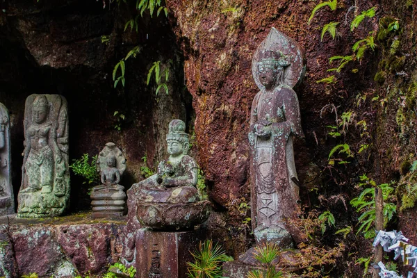 Une Belle Vue Sur Les Statues Bouddha Temple Nanzoin Situé — Photo
