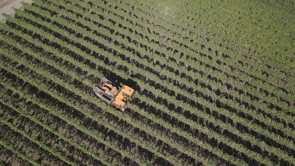 Вид Воздуха Трактор Апельсиновым Комбайном Ферме — стоковое фото