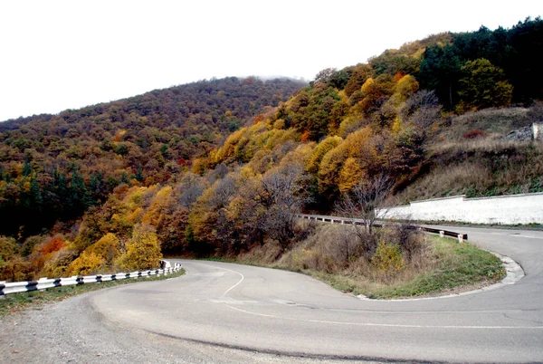 Una Hermosa Toma Carretera Los Coloridos Árboles Montaña Del Bosque — Foto de Stock