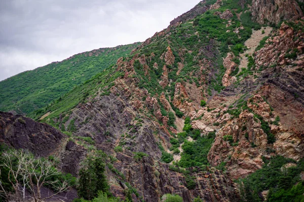 Ein Schöner Schuss Grün Bedeckte Berge — Stockfoto