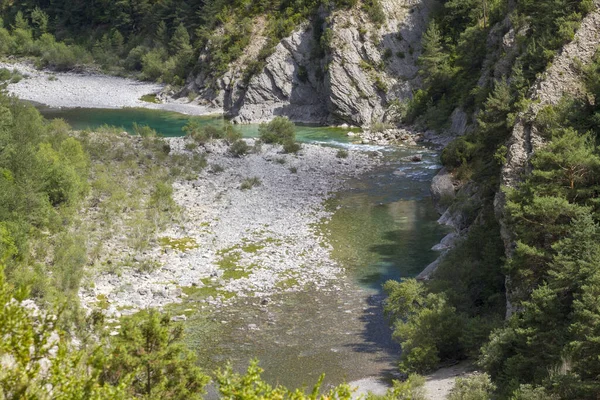 鬱蒼とした植生に覆われた山を流れる川 — ストック写真