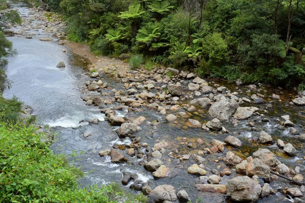 Río Angosto Con Pequeñas Rocas Entorno Natural — Foto de Stock