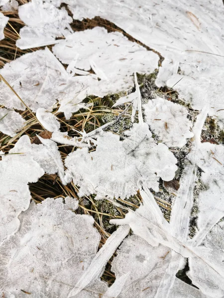 冬の間 ノルウェーのシランの水たまりの上の砕けた氷の閉鎖ショット — ストック写真