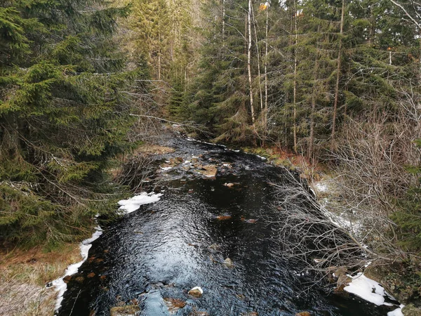 Een Schilderachtig Uitzicht Rivier Stroomafwaarts Het Bos Siljan Noorwegen Tijdens — Stockfoto