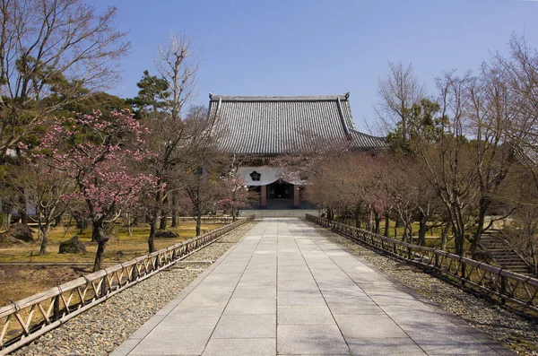 Piękny Widok Drzewa Sakura Chishakuin Temple Kioto Japonia — Zdjęcie stockowe