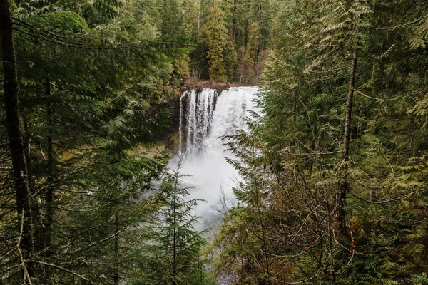 Uma Bela Foto Das Cataratas Koosah Oregon — Fotografia de Stock