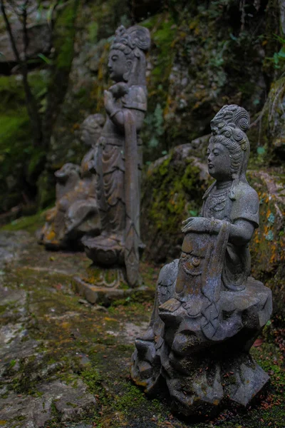 Krásný Výhled Sochy Buddhy Chrámu Nanzoin Fukuoka Japonsko — Stock fotografie