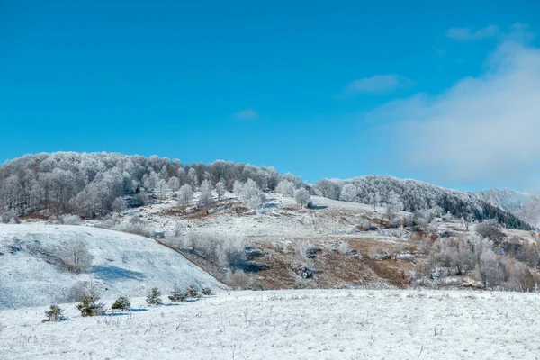 Uma Vista Colinas Nevadas Com Árvores Inverno Sob Céu Azul — Fotografia de Stock