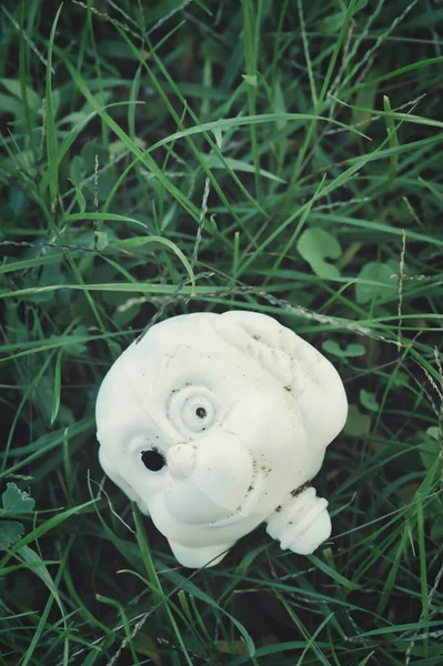 Жуткая Голова Медвежьей Игрушки Брошенной Траве — стоковое фото