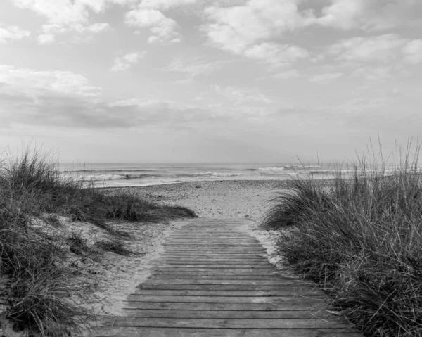 Een Grijswaarden Opname Van Een Houten Pad Naar Het Zandstrand — Stockfoto