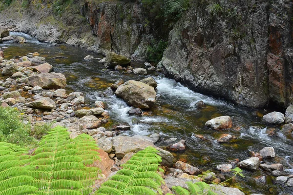 Ένας Βραχώδης Ποταμός Ένα Δάσος — Φωτογραφία Αρχείου