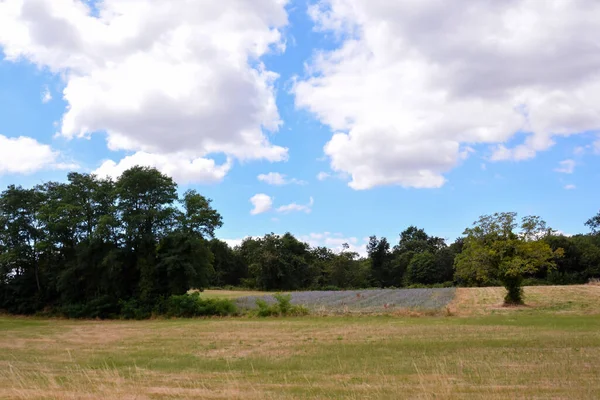 Een Prachtige Opname Van Het Platteland Velden Heldere Blauwe Lucht — Stockfoto