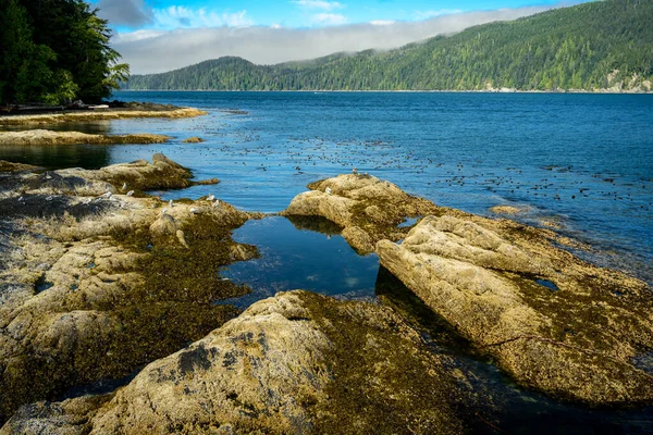 Lago Rodeado Rocas Bosques Port Renfrew Isla Vancouver Canad —  Fotos de Stock
