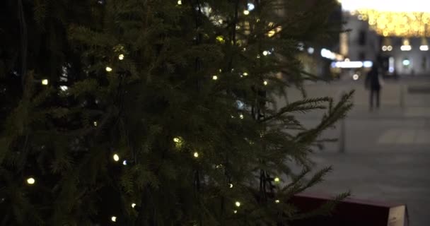 Krásný Vánoční Stromek Dekorativní Girland Ulici Dovolená Koncept — Stock video