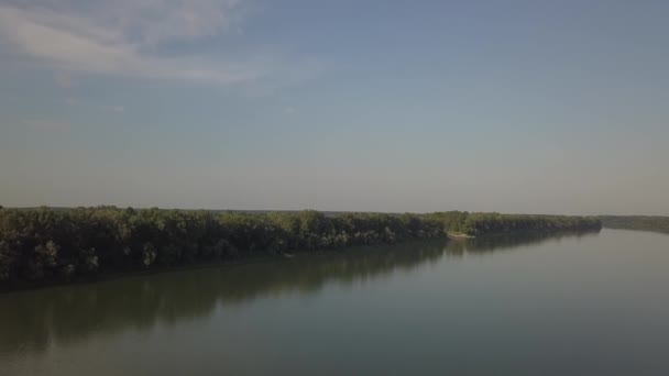 Vanuit Lucht Uitzicht Grote Rivier Tussen Eindeloos Bos Zonnige Dag — Stockvideo