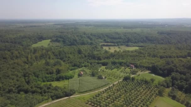 Agricultural Fields Forests Srebrenik Bosnia Herzegovina Sunny Day Shot — Stockvideo