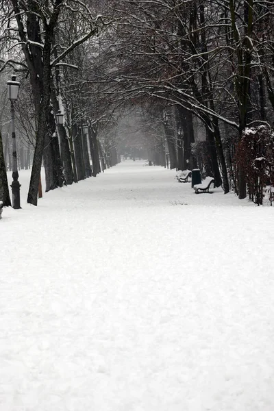 Uma Vista Parco Ducale Parma Com Neve Temporada Inverno — Fotografia de Stock