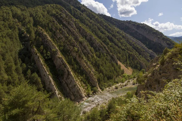 Река Протекающая Через Горы Покрытые Густой Растительностью — стоковое фото