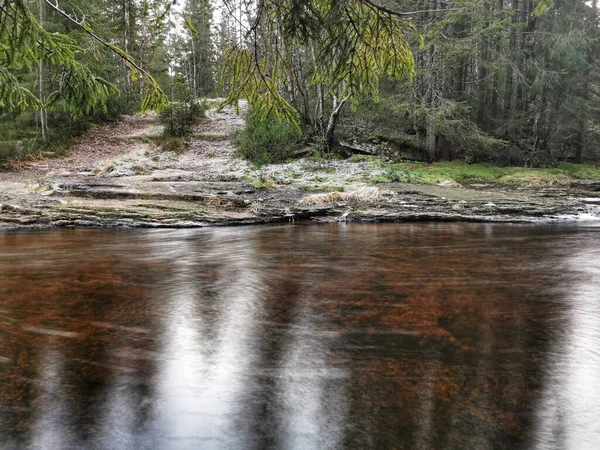 Uma Vista Água Limpa Que Flui Rio Floresta Siljan Noruega — Fotografia de Stock