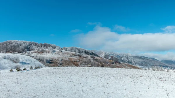 Blick Auf Verschneite Hügel Mit Winterbäumen Unter Blauem Himmel — Stockfoto